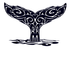 Ulysse Explorer