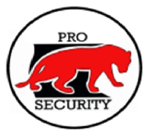 Pro Security