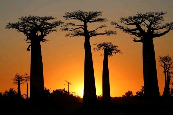 Gael Tours Madagascar