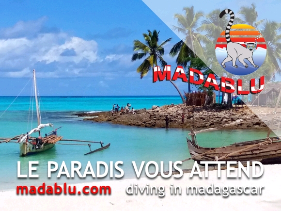 Madablu diving in Madagascar