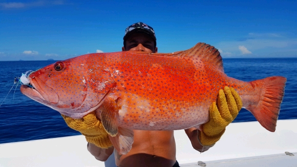 Nosy Be Rêves de Pêche