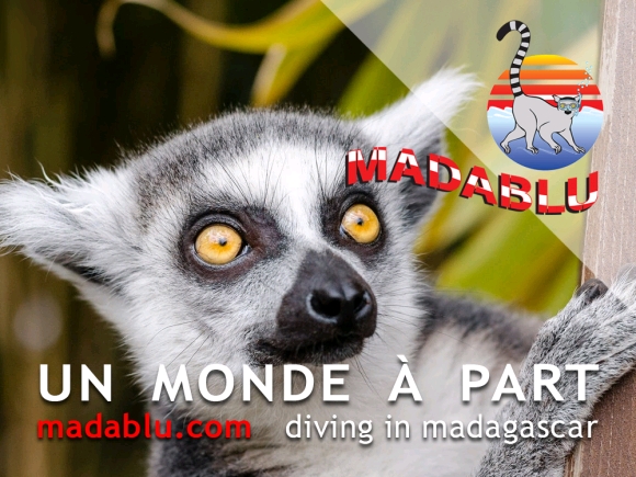 Madablu diving in Madagascar